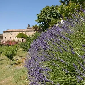 Domaine De Cousignac Bourg-Saint-Andéol
